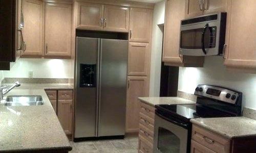 Built In and Cabinet Size Refrigerator Built In and Cabinet Size Refrigerator