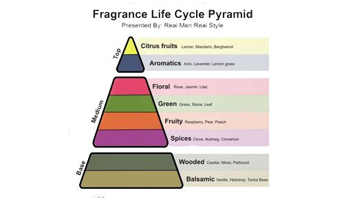 Kenali Tingkatan Aroma Notes Sejak Pertama Kali Parfum Disemprotkan Kenali Tingkatan Aroma Notes Sejak Pertama Kali Parfum Disemprotkan