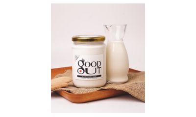 Good Gut Greek Yogurt Good Gut Greek Yogurt