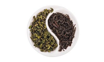 Perbedaan Teh Hijau dan Teh Hitam Perbedaan Teh Hijau dan Teh Hitam