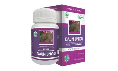 Herba Daun Ungu Herba Daun Ungu